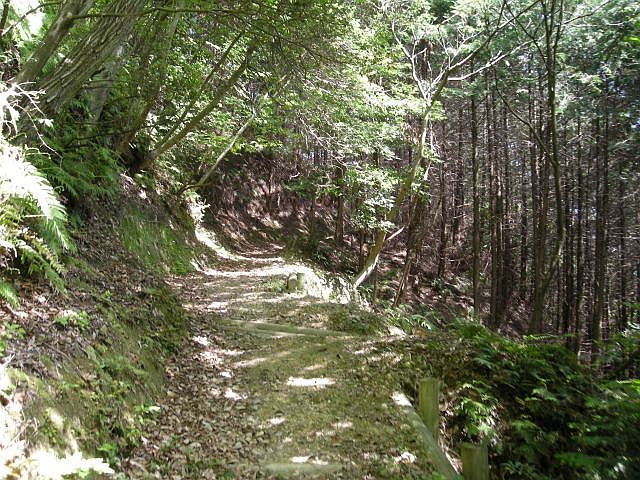 k04_019.jpg