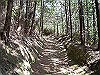 k04_020_thumb.png