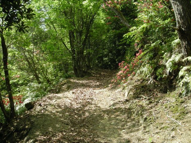 k04_022.jpg
