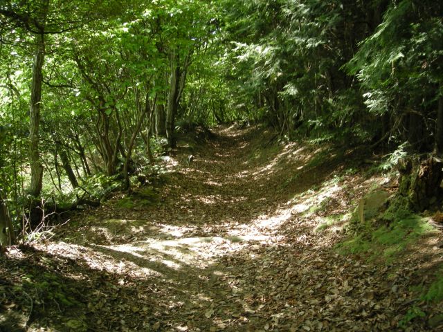 k04_023.jpg