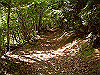 k04_023_thumb.png