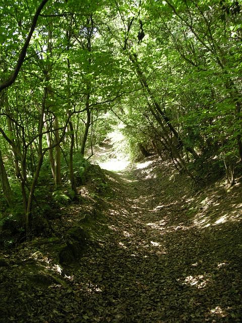 k04_024.jpg