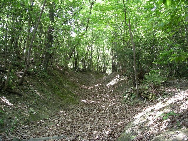 k04_025.jpg