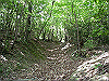 k04_025_thumb.png