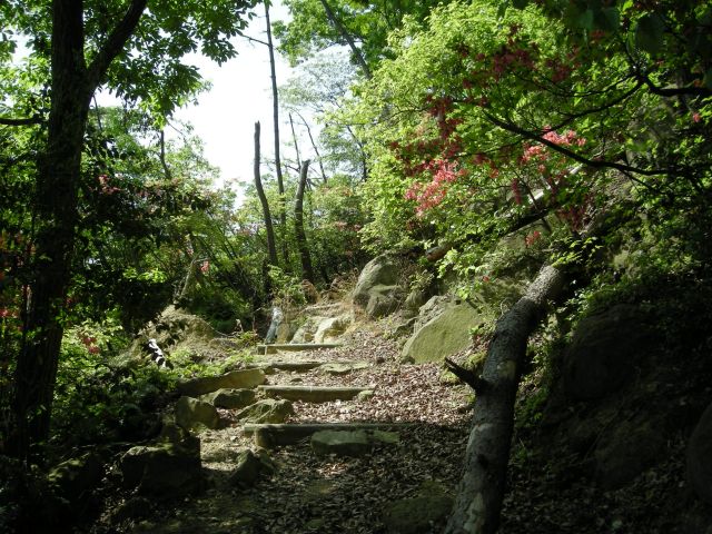 k04_026.jpg