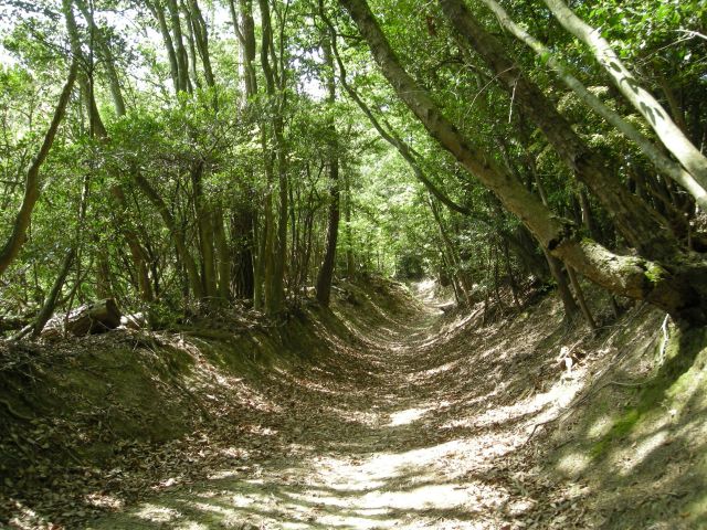 k04_028.jpg
