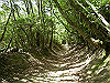k04_028_thumb.png