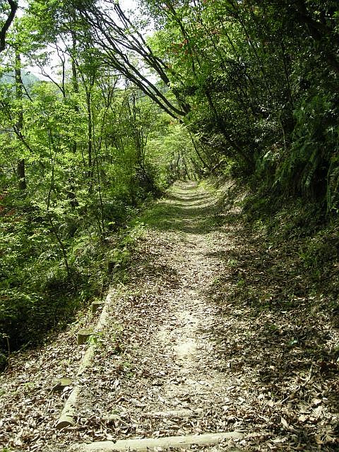 k04_029.jpg