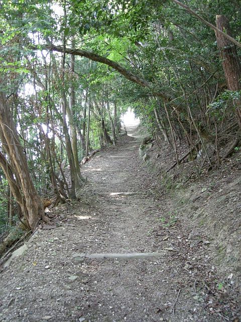 k04_034.jpg