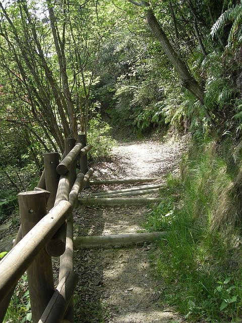k04_036.jpg