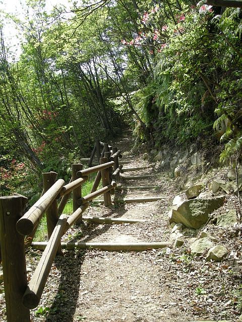 k04_037.jpg