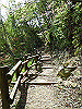 k04_037_thumb.png