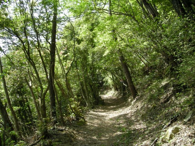 k04_038.jpg