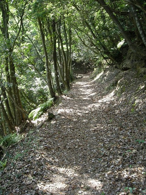 k04_039.jpg