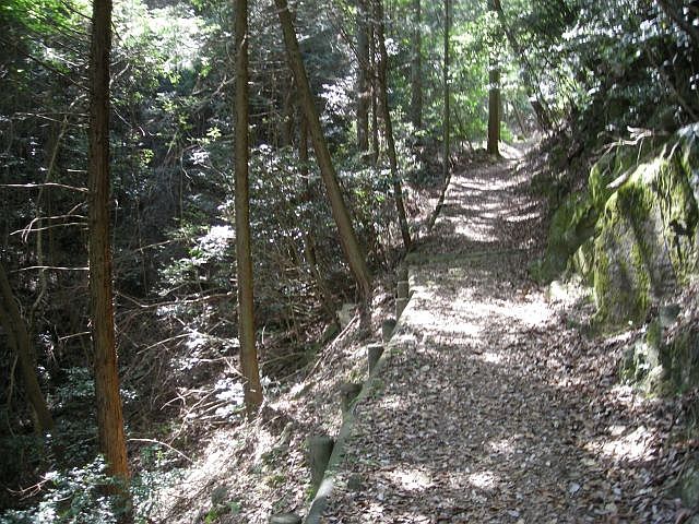k04_040.jpg