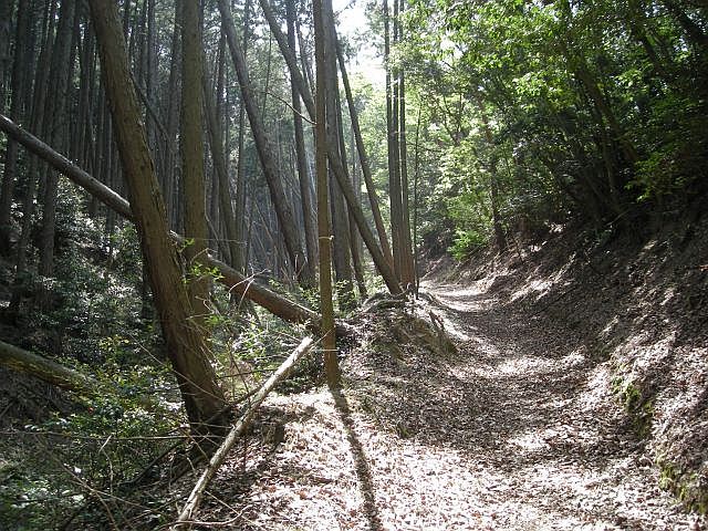 k04_041.jpg