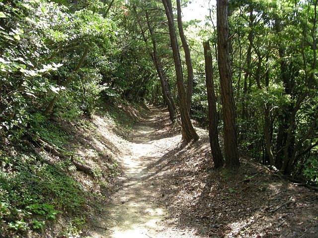k04_043.jpg