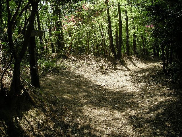 k04_044.jpg
