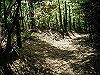 k04_044_thumb.png