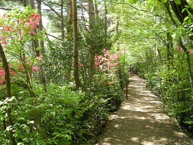 k04_045.jpg