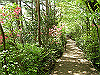 k04_045_thumb.png