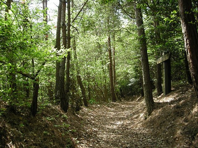 k04_046.jpg