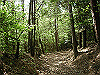 k04_046_thumb.png