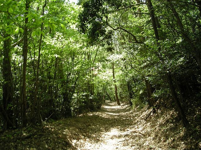 k04_047.jpg