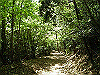 k04_047_thumb.png
