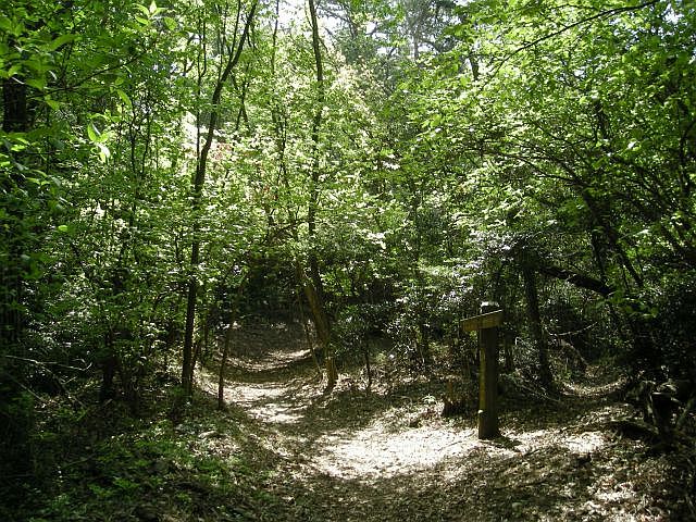 k04_048.jpg