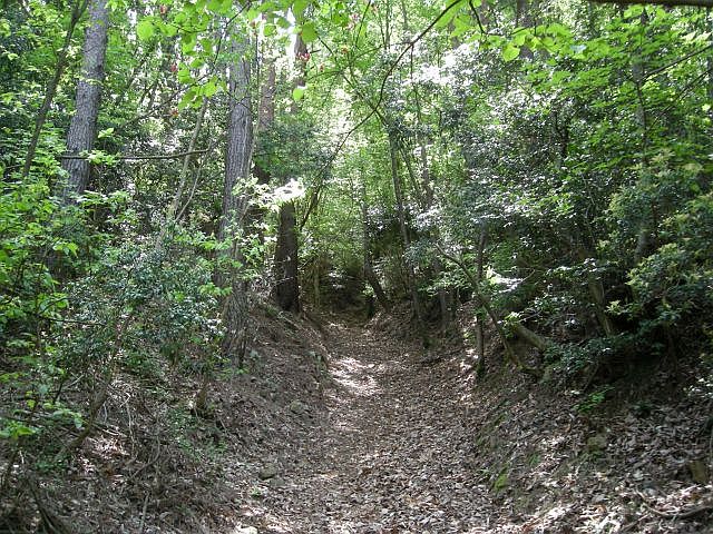k04_049.jpg