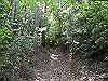 k04_049_thumb.png