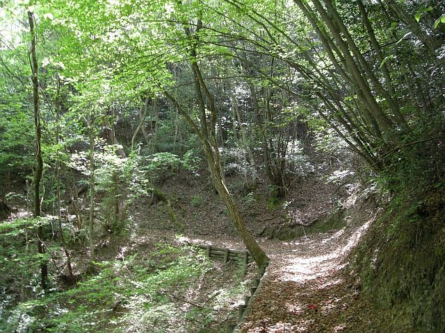 k04_050.jpg