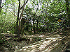 k04_051_thumb.png