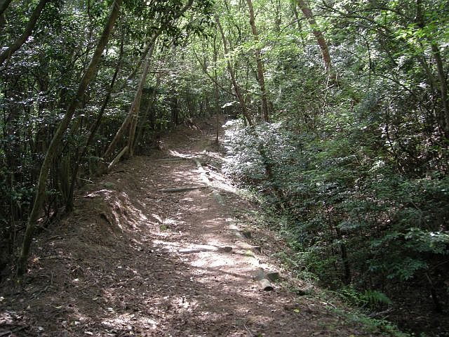 k04_054.jpg