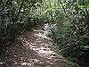 k04_054_thumb.png