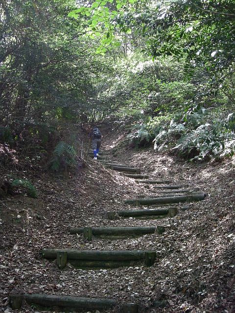 k04_056.jpg