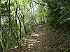 k04_058_thumb.png