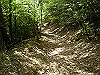 k04_059_thumb.png