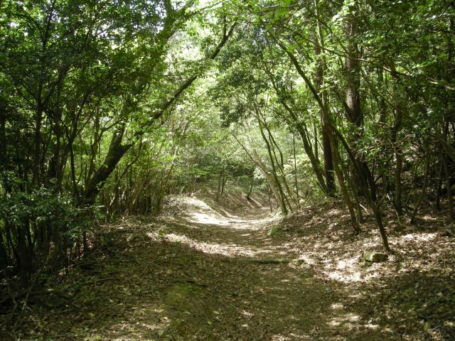 k04_060.jpg
