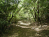 k04_060_thumb.png