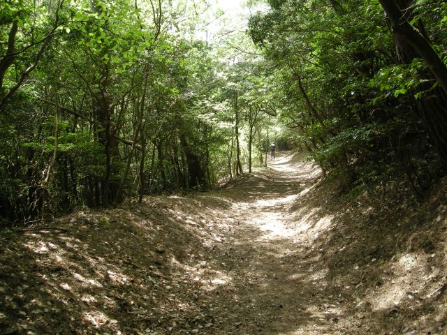 k04_061.jpg