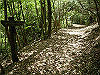 k04_062_thumb.png
