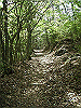 k04_063_thumb.png