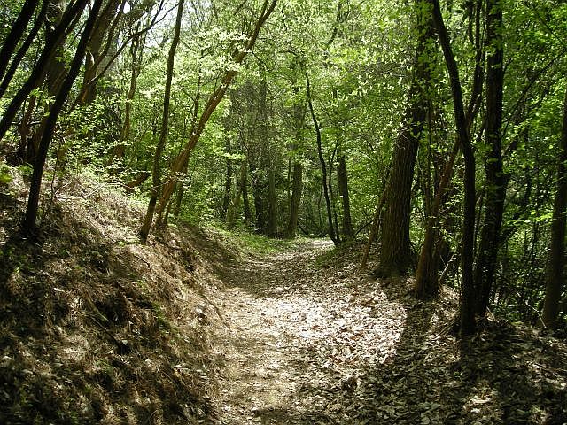 k04_064.jpg