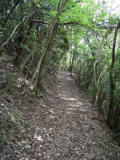 k04_065.jpg