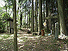 k04_070_thumb.png