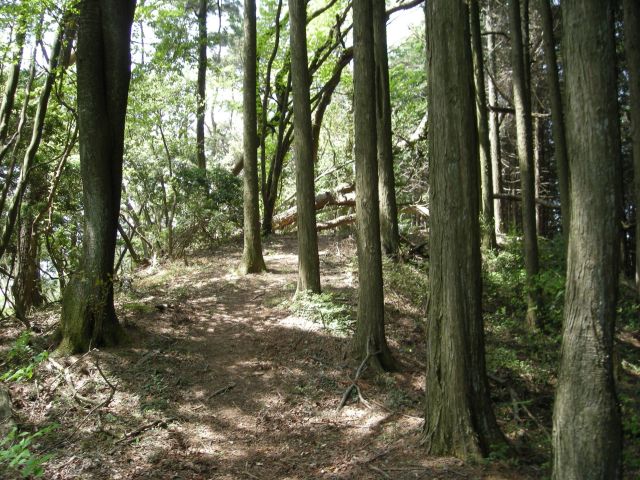 k04_072.jpg