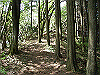 k04_072_thumb.png