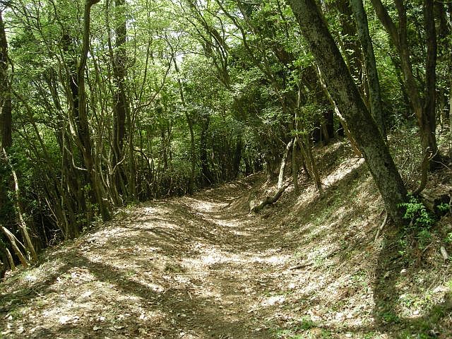k04_074.jpg